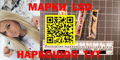 СК Гатчина