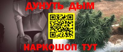 СК Гатчина