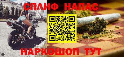 СК Гатчина
