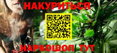 СК Гатчина
