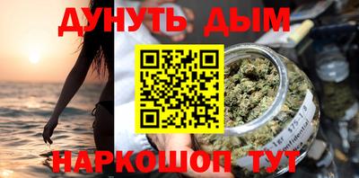 СК Гатчина
