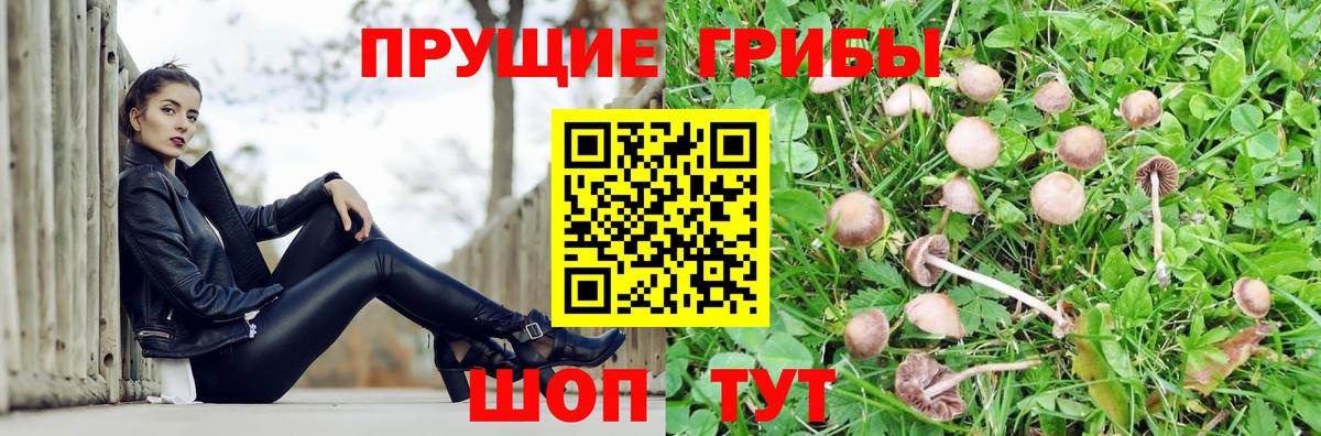 наркота  Галлюциногенные грибы MAGIC MUSHROOMS  Вход с VPN  Пенза 